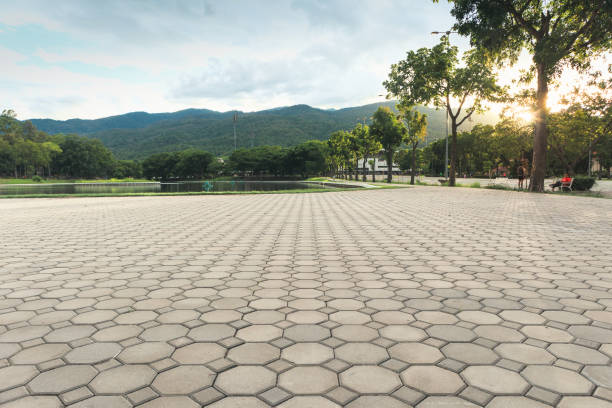 Professional Driveway Pavers in Locust Grove, GA