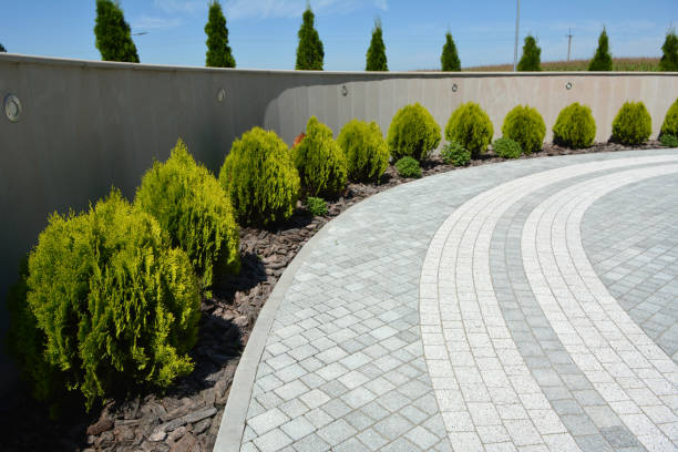 Best Best Driveway Pavers  in Locust Grove, GA